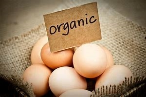 Organic Dairy & Eggs Category Image